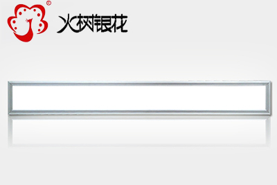 火樹銀花照明創(chuàng)意歐版上下雙面發(fā)光透明PMMA超薄面板燈300x1200